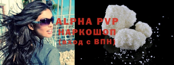 индика Алексин