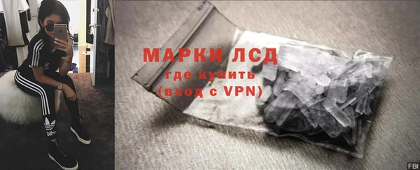 индика Алексин