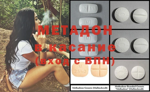 индика Алексин