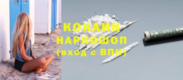 индика Алексин