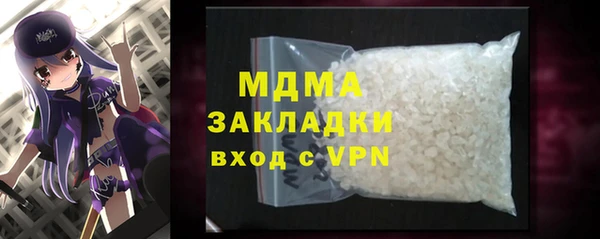 индика Алексин