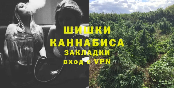 СК Алзамай