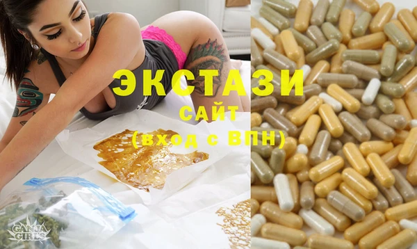 индика Алексин