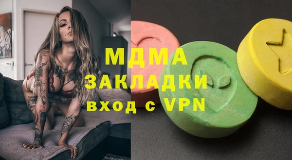 индика Алексин