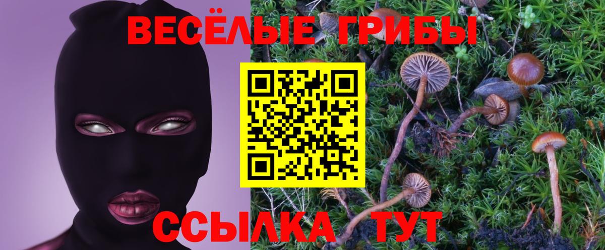 Галлюциногенные грибы прущие грибы Севастополь